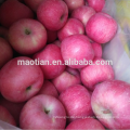 frische Apfelfrucht Aus China Produzent